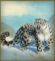 Snow leopard (1).jpg