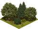 Tree222.png